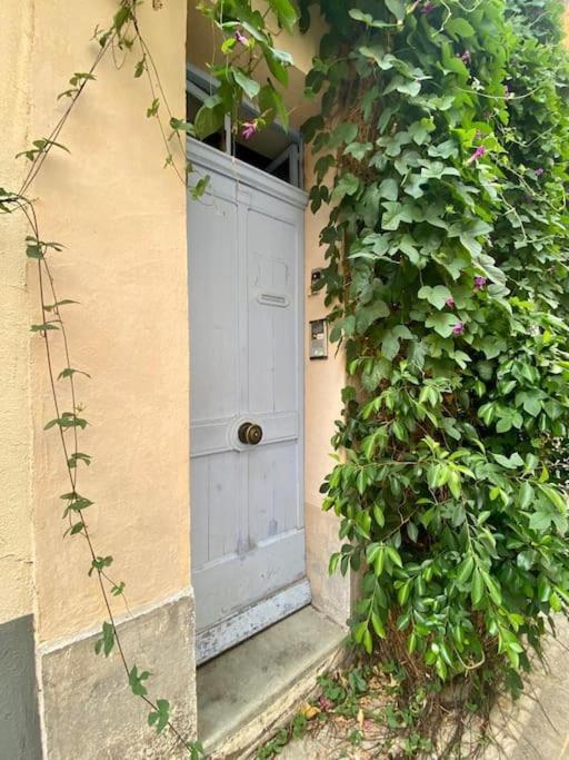 Click! Casa Lamartine Fabulous Ideal Location Walk To All!!! 카시스 외부 사진